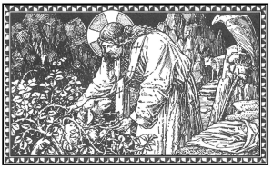 Tercer Domingo Después de Pentecostés Y va a buscar la perdida, hasta encontrarla.