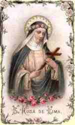 _rosa Una virgen se ocupa de las cosas del Señor, a fin de ser santa de cuerpo y alma. (1 Corintios, 7, 34).