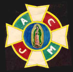 La ACJM fue fundada en 1913 y en 1917 estaba ya muy consolidada y fuerte . Pues la ACJM tuvo un papel fundamental en la Guerra Cristera. Hubo necesidad de reclutar a todos los militantes y dirigentes para defender a Dios y a la Patria.