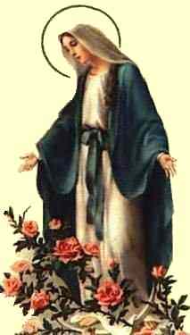 _medianera _medianera