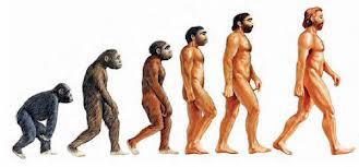 Evolucionismo
