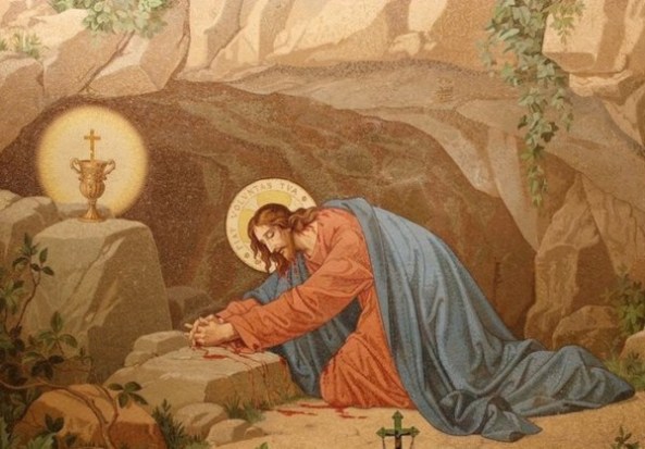 120114_0246_devocionesp1