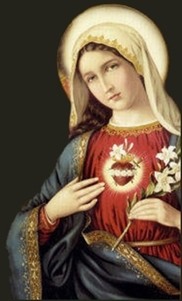 1317488074850_f - 189 x 132-400%