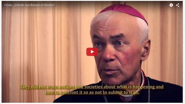 Crisis -Sínodo de la familia 2015